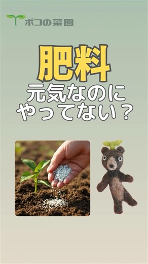 [Home Gardening] Fertilizing healthy vegetables is dangerous #homegardening #fertilizer #vegetabl...