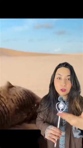 Brenda Frazão on Instagram: "Um peixe de areia? Você já conhecia? 😳 (Fontes: Canadian Journal of Zoology, Journal of Fish Biology, ScienceDirect (Agricultural and Biological Sciences - Hoplosternum littorale), Instituto Nacional de Pesquisas da Amazônia (INPA), CABI Digital Library (Centre for Agriculture and Bioscience International), ResearchGate (artigos científicos sobre respiração aérea em Callichthyidae), BBC Earth (documentários sobre peixes com respiração aérea), National Geographic (do