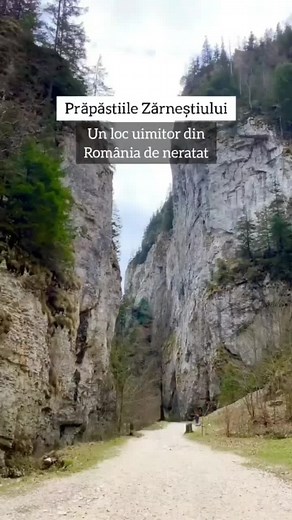 Prăpăstiile Zărneștiului - Brașov #travel #romania #viziteazaromania #foryou #transylvania