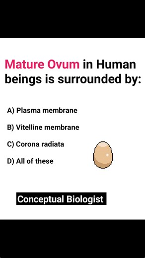 Test your knowledge Comment 🥰 Like and share 💥 #biology #MCQs #Embryology | Conceptual Biologist