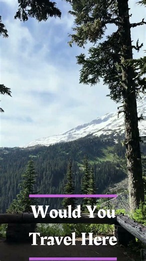 Mount Rainier National Park #travel #nature #mountains