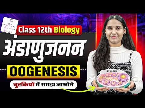 अण्डाणुजनन (Oogenesis) || Human reproduction 12th Biology || Nidhi Ma'am Biology