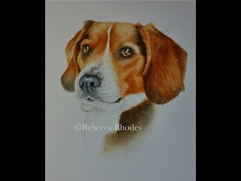 Watercolor Tutorial: How to Paint a Dog in Four Colors