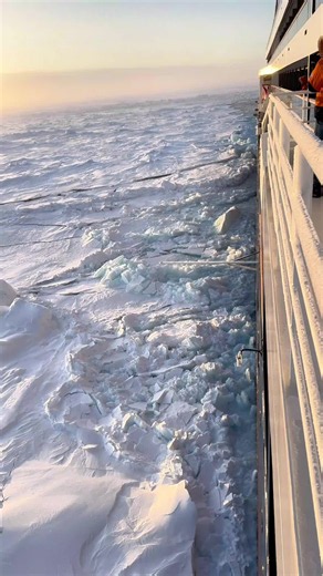 Biggest Fish in the North Ocean: A Stunning Ocean View 🌊😱