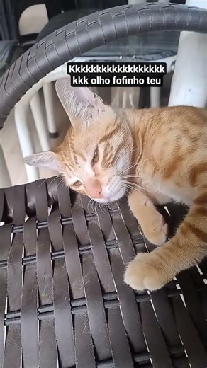 30 de dezembro de 2025