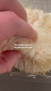 Ruston Kelly on Reels | Facebook