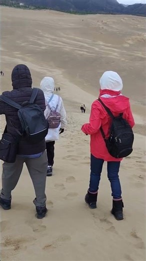 冬天鳥取沙丘風大的像括颱風溫度接近零度可惜來的時候還沒下雪不然更美2025.12.22#鳥取砂丘