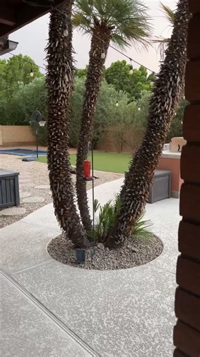 Jennifer Jennarol Wooten on Reels