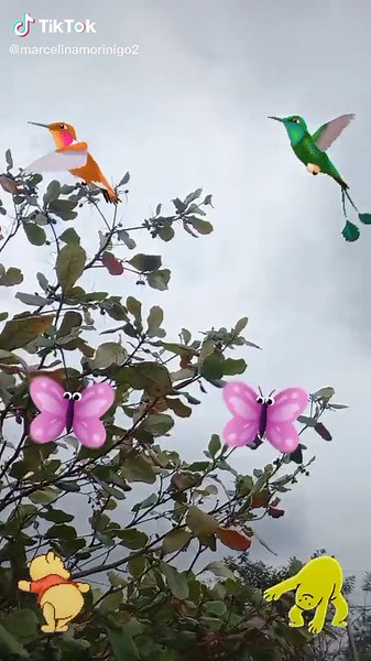 Stunning Hummingbird in a Natural Outdoor Scene