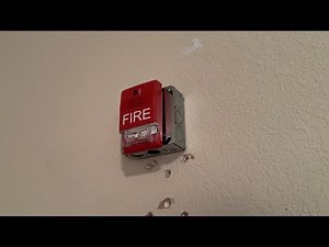 System Test 4 - Genesis Horn Strobes