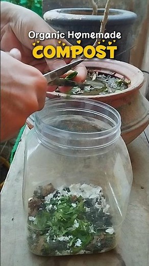 Make COMPOST At Home #gardening #homegarden