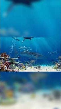 Relax With My Ocean Aquarium 🌊🐠 | Calming Fish & Colors for Deep Relaxation