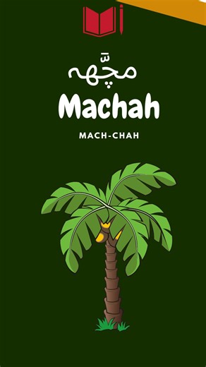 Exploring the Brahui Language: Insights and Education