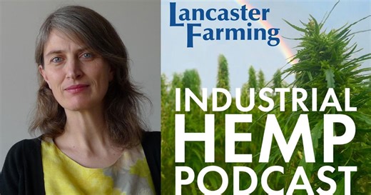 Hemp as an Indicator Species: Mapping the Future of Bio-Based Building