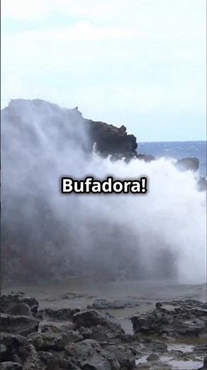 Top 5 Cruise Shore Excursions In Ensenada Mexico