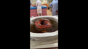 Newborn baby floats in water with a rubber ring