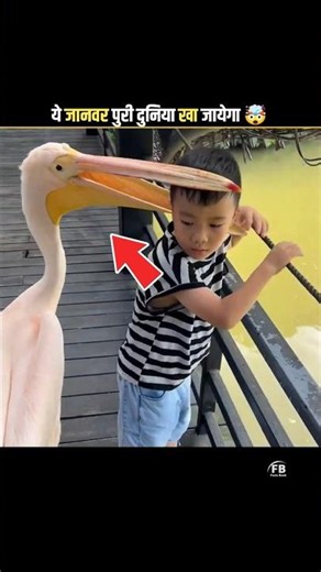 This animal will eat the whole world.😱