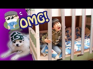 ドロボウ犬に気をつけて！犯人に間違われちゃったお兄ちゃんが真犯人を見つけるぞ！