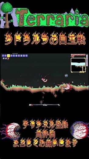【テラリア】前回逃げられた卑怯者を返り討ちにしたクトゥルフの目玉ってテラリアで最弱のボスなん？ #テラリア #Terraria #テラリア実況 #クトゥルフの目 #ボス戦 #ゲーム実況 #shorts