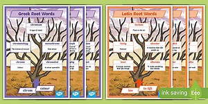 Etymology Display Posters