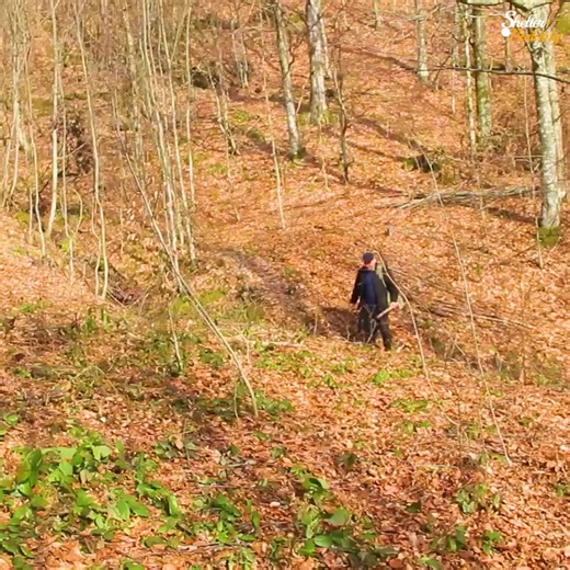 Creating a wooden Bushcraft House. Skills in the Wild Forest | Mountain Cabins