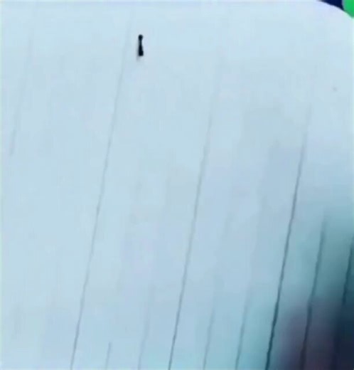 Not for the ant, it isn't an illusion. Ants navigate using pheromone trails, since they have very poor eyesight. The strong volatile compounds and solvents in the ink overpower or mask the existing pheromone trail, creating confusion. The ant suddenly "loses" its invisible road and doesn't know how to proceed. So, it's a real roadblock, not an illusion.