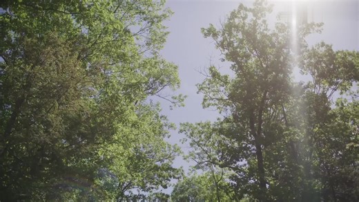 徕卡三维激光扫描仪BLK360：双曲异形铝单板逆向建模实景数字孪生