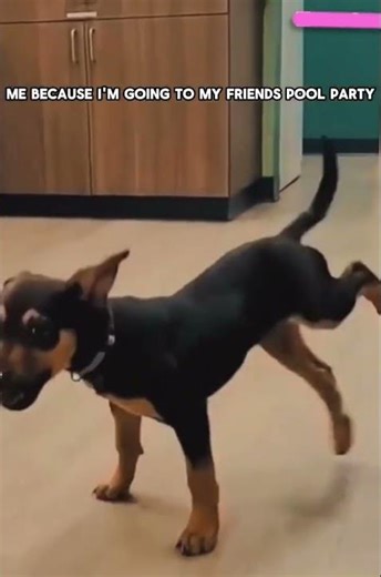 Me because tomorrow I go to my friends pool party 💦😝🤘