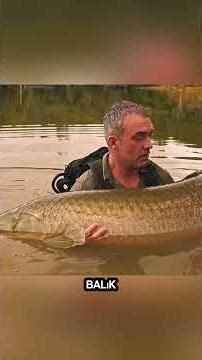 "Amazon Nehri’nde 200 Kg’dan Fazla Dev Balık Yakalama Mücadelesi!" #shorts