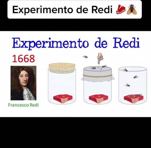 Experimento de Redi: Desmitificando la Generación Espontánea
