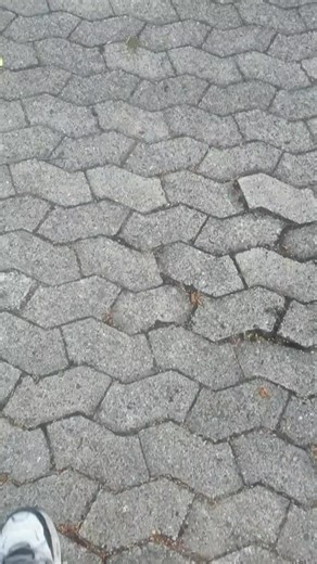 danielbauer2329 on TikTok