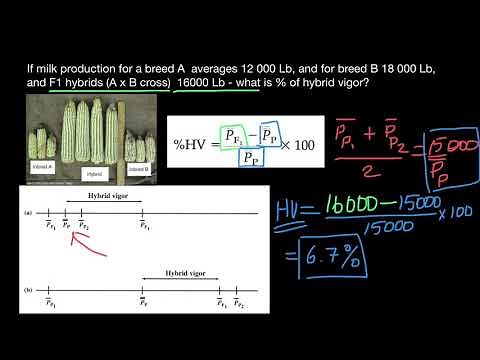 How to calculate Hybrid Vigor