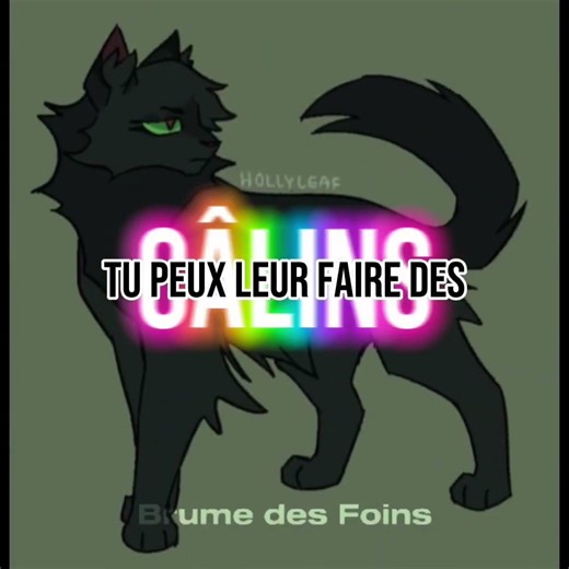 J’ai 11 chats 🥹🙏💞et J’ADOOOORREEERE les chats 🌸🌺 #lgdc