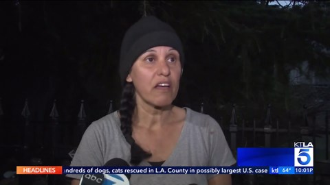 Hundreds of dogs and cats rescued from property in LA County