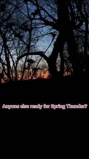 Spring Thunder is coming to a timber near you! Anyone else excited?!? #springthunder #turkeyhunting