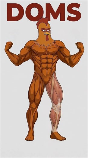 No Soreness, No Gains? (THE TRUTH) ❌