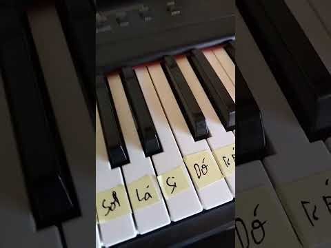 Baby shark (piano tutorial fácil e rápido)