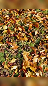 As This Year Comes to an End | The Christian Journey