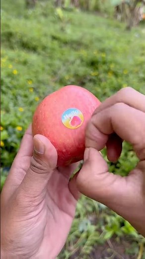 Lifehack skills: Removing apple stickers🍎🍅#camping #lifehack #survival #bushcraft#outdoors