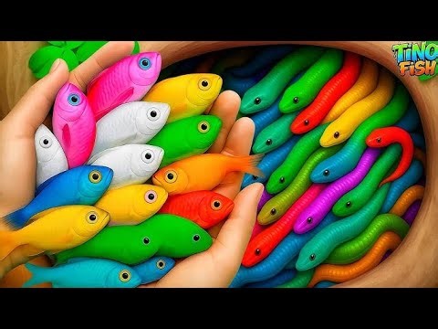 Amazing Catch Aquarium Fish In Giant Colorful Eggs, Catfish, Albino Fish, Goldfish, Eel, Seahorses