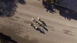 Join SFDFF for our 12th annual festival, bringing together 125 international dance films in 18 programs. Streaming online through Marquee TV and in select theaters October 15-24. Learn more about our programs and reserve tickets and passes: https://sfdancefilmfest.org/festival-films-2021/ Trailer edited by Lindsay Gauthier. Music by Occubus Jive. | San Francisco Dance Film Festival