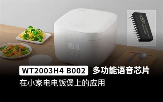 WT2003H4语音芯片ic应用在电饭煲语音播报上