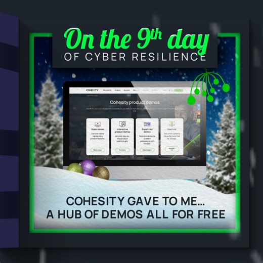 ☃️ Try Cohesity YOUR way—from on-demand videos to self-paced interactive demos to live Q&As…it’s a holiday miracle to get to pick your own gift! https://cohesity.co/3tcQWPS | Cohesity