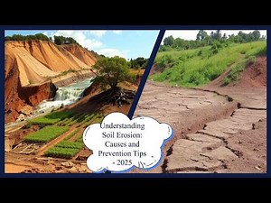Understanding Soil Erosion: Causes and Prevention Tips