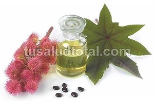 7 Remedios Caseros Para las Arrugas: ¡Transforma tu Piel!