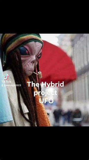 Hybird Project: UFO Sightings & Alien Encounters