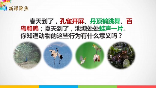 三年级科学7.《动物的繁殖》