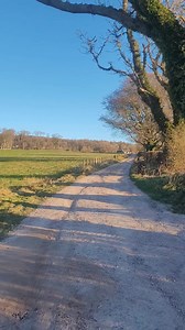 217K views · 757 reactions | Colin felling the first ash tree | A.C.Rourke Timber Contractor/tree Surgery | Facebook