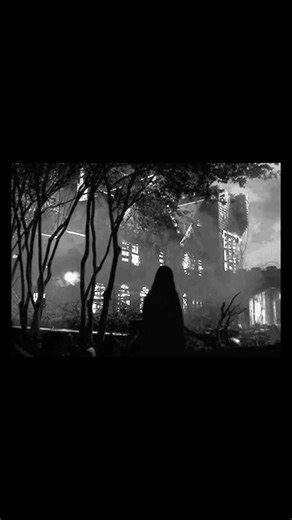 Vidéos de snom (@snomboo) avec son original - snom