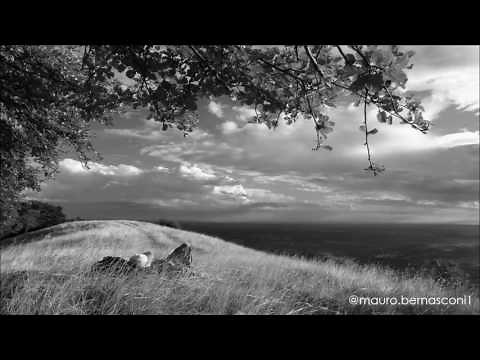 "Estate" Bruno Martino